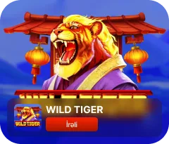 Wild tiger